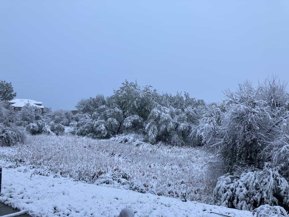 April Showers Bring May Blizzards