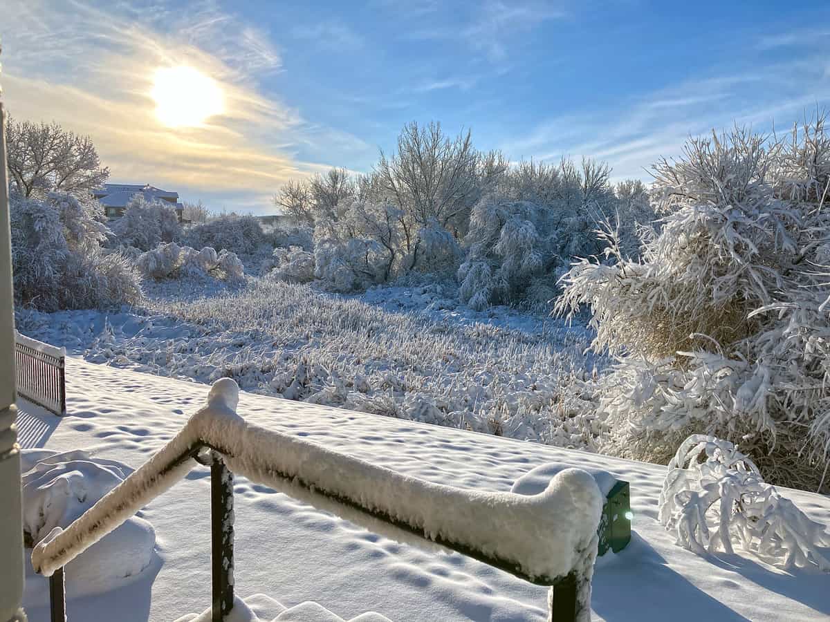 Snow Day