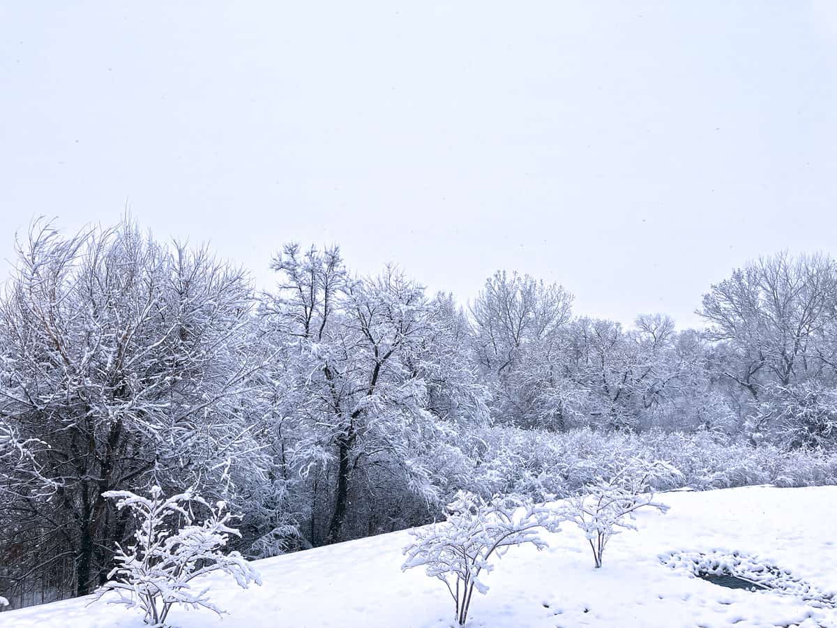 Climate is what you expect, weather is what you get