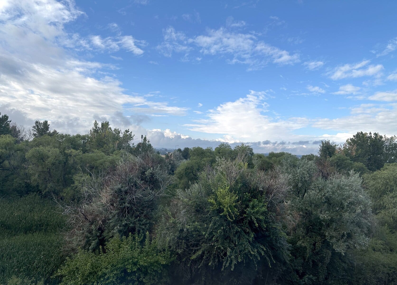 Today’s view from the guest room