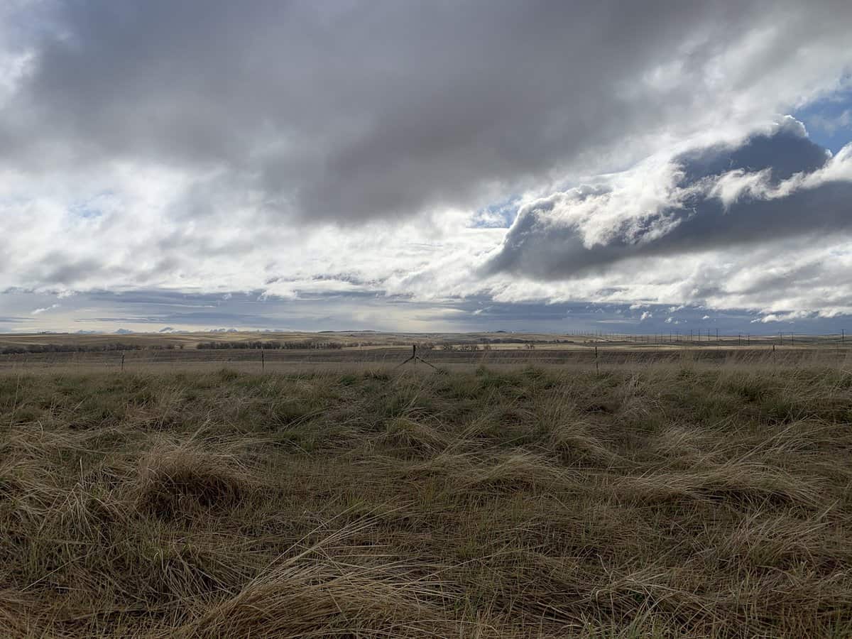 Wide Open Space Therapy